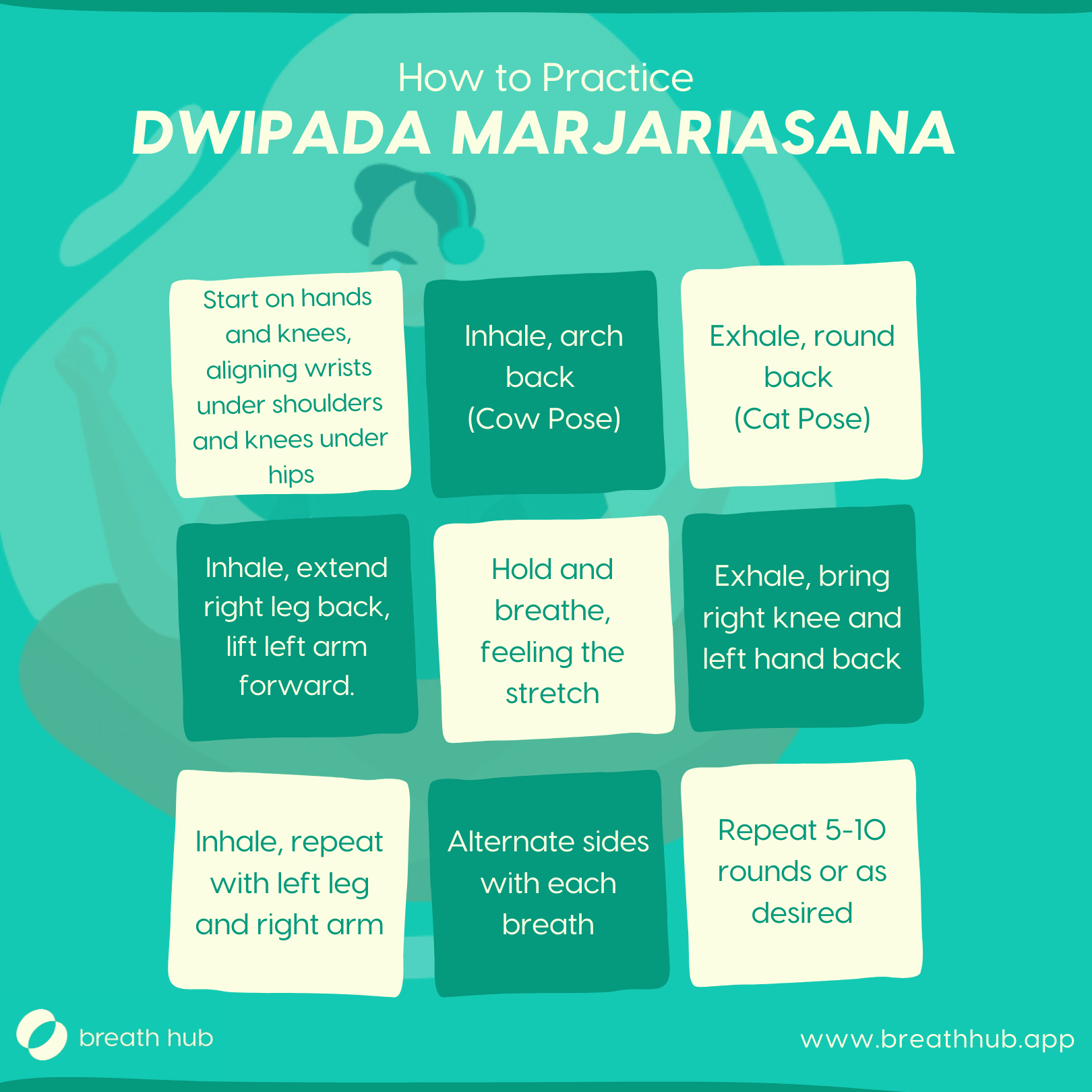 How to Practice Dwipada Marjariasana? - Breath Hub